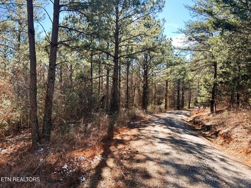 2 Redman Ridge Rd, Decatur, TN, 37322 | Card Image