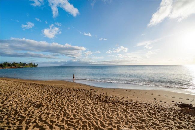 801 - 4327 Lower Honoapiilani Rd, Condo with 1 bedrooms, 1 bathrooms and null parking in Lahaina HI | Image 13