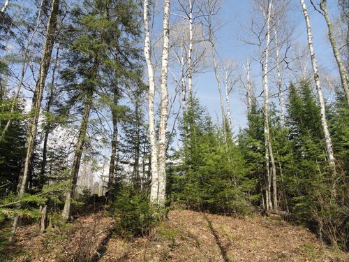 6047 Voyageurs Trl, Biwabik, MN, 55708 | Card Image