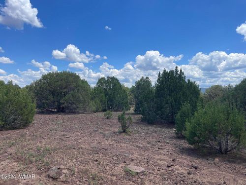 4 County Road 3331, Vernon, AZ, 85940 | Card Image