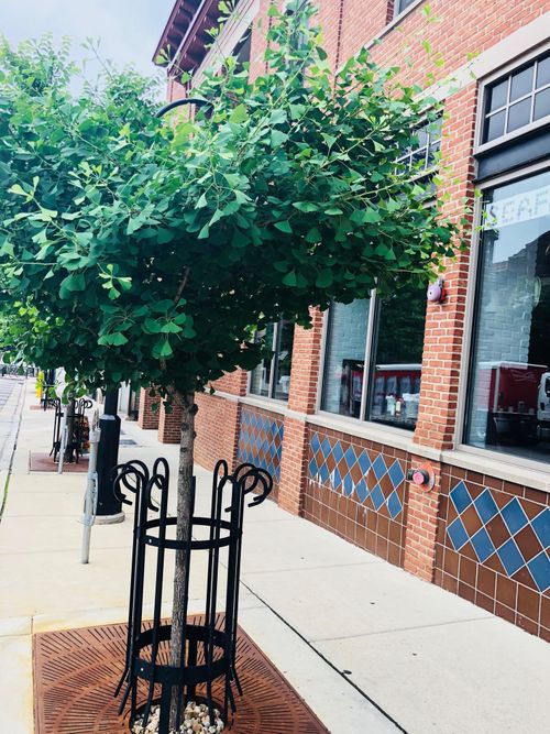 203-322 N Henry St, Madison, WI, 53703-2066 | Card Image