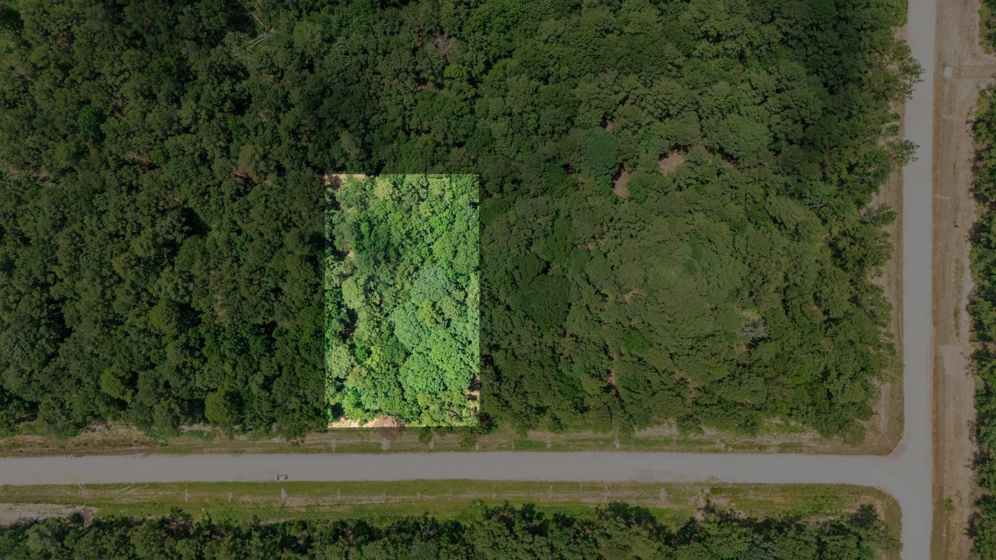 Land in New Waverly 2