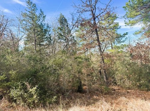 106 Olomana Ct, Bastrop, TX, 78602-6045 | Card Image