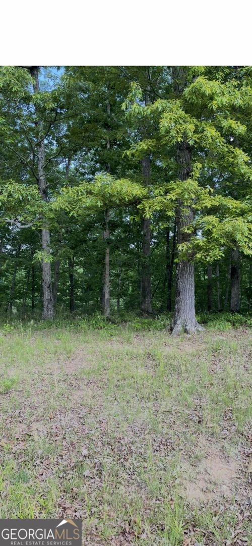 108 Timber Ridge Dr, Griffin, GA, 30224-7813 | Card Image