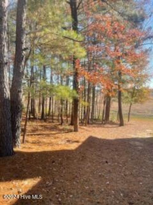 847 Seagull Dr, Vass, NC, 28394-8681 | Card Image