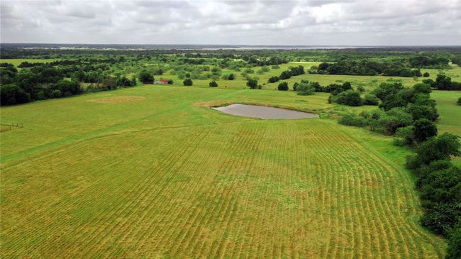 1563 Fm 667, Home with 0 bedrooms, 0 bathrooms and null parking in Purdon TX | Image 15