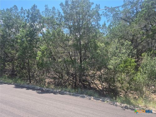 3602 Stillwood Ln, Lago Vista, TX, 78645-6590 | Card Image