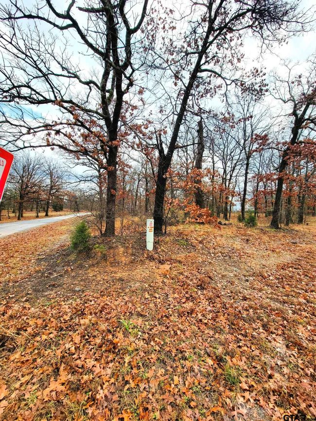 327 La Prada, Home with 0 bedrooms, 0 bathrooms and null parking in Malakoff TX | Image 12