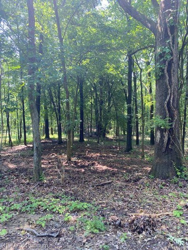 6 Sleaford Parcel 6   2.1 Acres Road, Home with 0 bedrooms, 0 bathrooms and null parking in Howell Township MI | Image 34