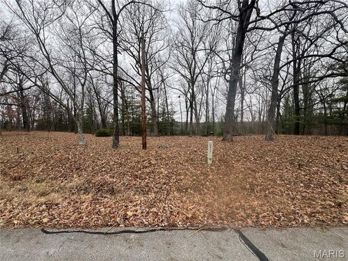 0 Cherokee Dr, Perryville, MO, 63775 | Card Image