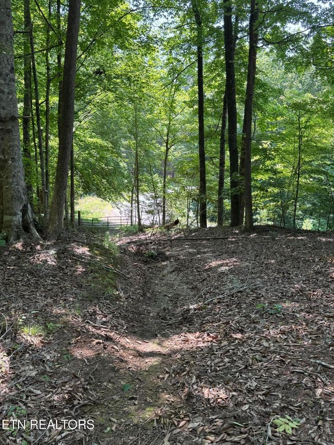 44 Ridgeland Dr, Home with 0 bedrooms, 0 bathrooms and null parking in Sharps Chapel TN | Image 21