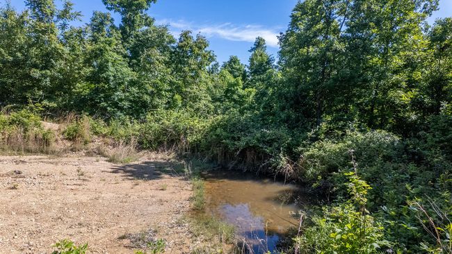 10 acre hobby farm008 | Image 11