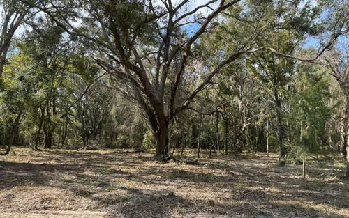 TBD 129th Rd, Mc Alpin, FL, 32062 | Card Image