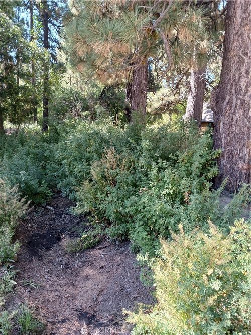0 Green Valley Lake Rd, Green Valley Lake, CA, 92341 | Card Image