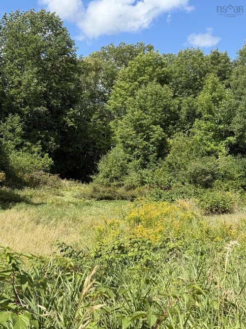 1-2-Lots 1 and 2 1st St, Lakeside, NS, B3T | Card Image