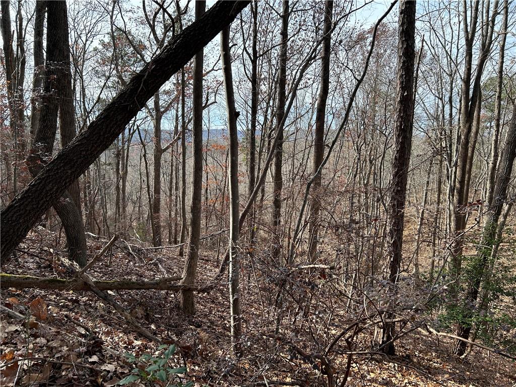 Land in Baldwin 4