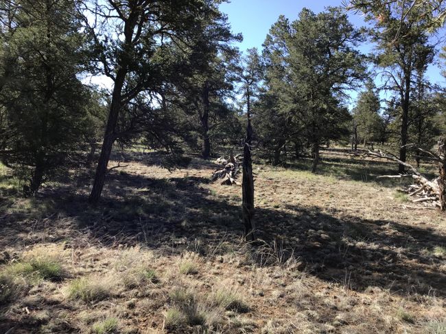 Lot 7 Red Fox Road, Home with 0 bedrooms, 0 bathrooms and null parking in Ramah NM | Image 14