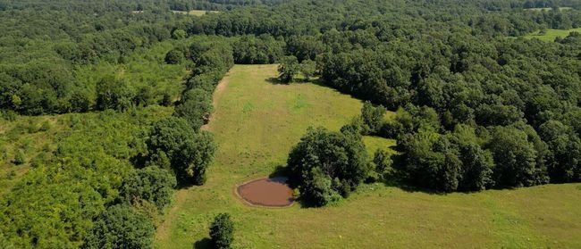 1194 Bailey Hollow Rd, House other with 3 bedrooms, 2 bathrooms and 6 parking in Erin TN | Image 4