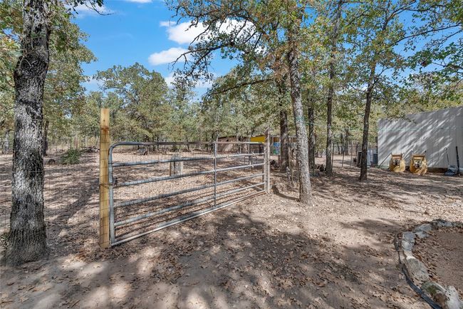 SECURE THIS GATE TO KEEP CHICKENS IN!!!!! | Image 33