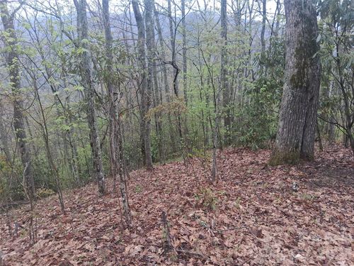 0000 Bear Creek Rd, Maggie Valley, NC, 28751 | Card Image