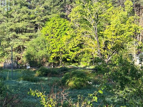 TBD John Halsey Rd, Grassy Creek, NC, 28631 | Card Image