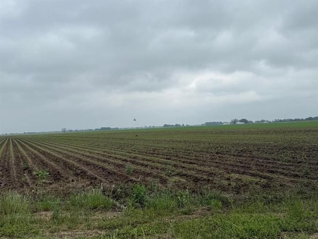 10542 Walker Rd, Home with 0 bedrooms, 0 bathrooms and null parking in Beasley TX | Image 5