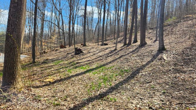 TRACT-2-PIKE-LAKE-GETAWA - 0 Pike Lake Rd, Home with 0 bedrooms, 0 bathrooms and null parking in Bainbridge OH | Image 14