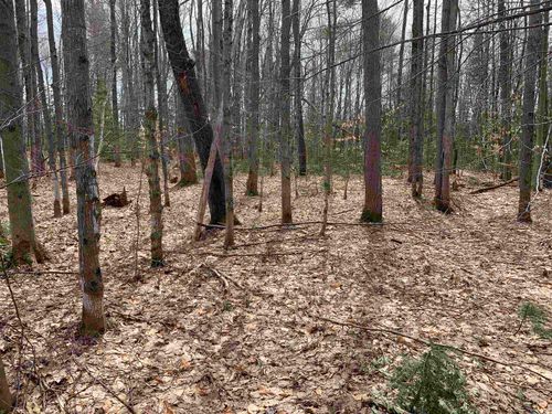 8222 Ne Bass Avenue, Coldsprings Township, MI, 49646 | Card Image