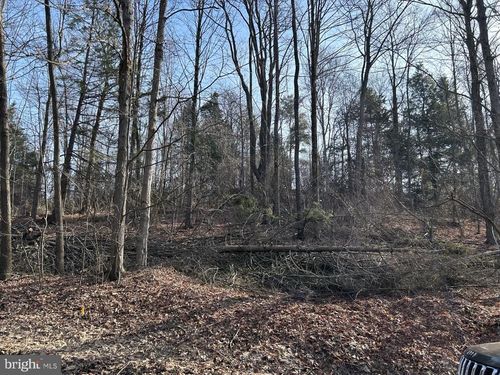 Lot on Wall Farm Road, Grampian, PA, 16838 | Card Image