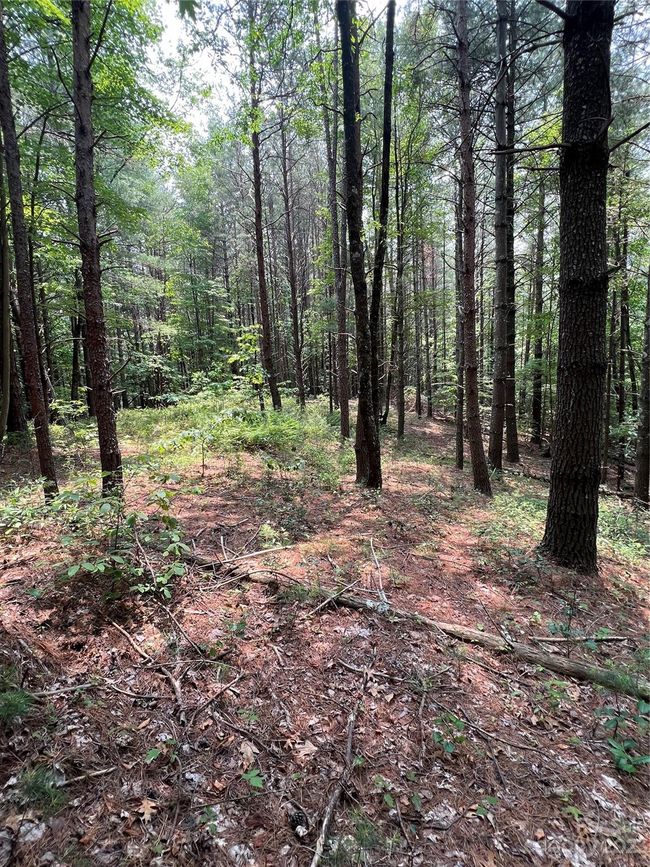 29 - 9589 Shortoff View Ter, Home with 0 bedrooms, 0 bathrooms and null parking in Nebo NC | Image 9