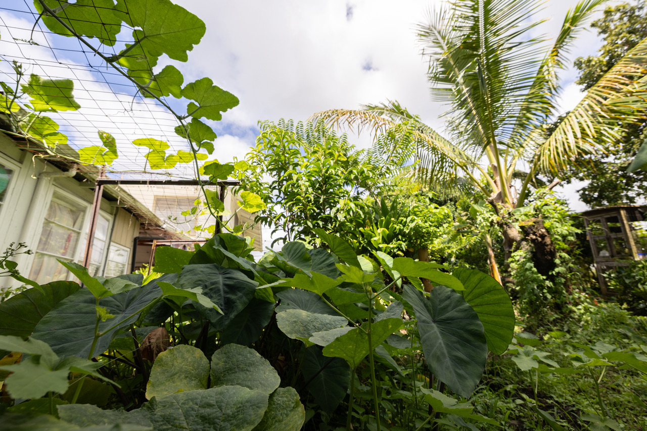 Residential in Hilo