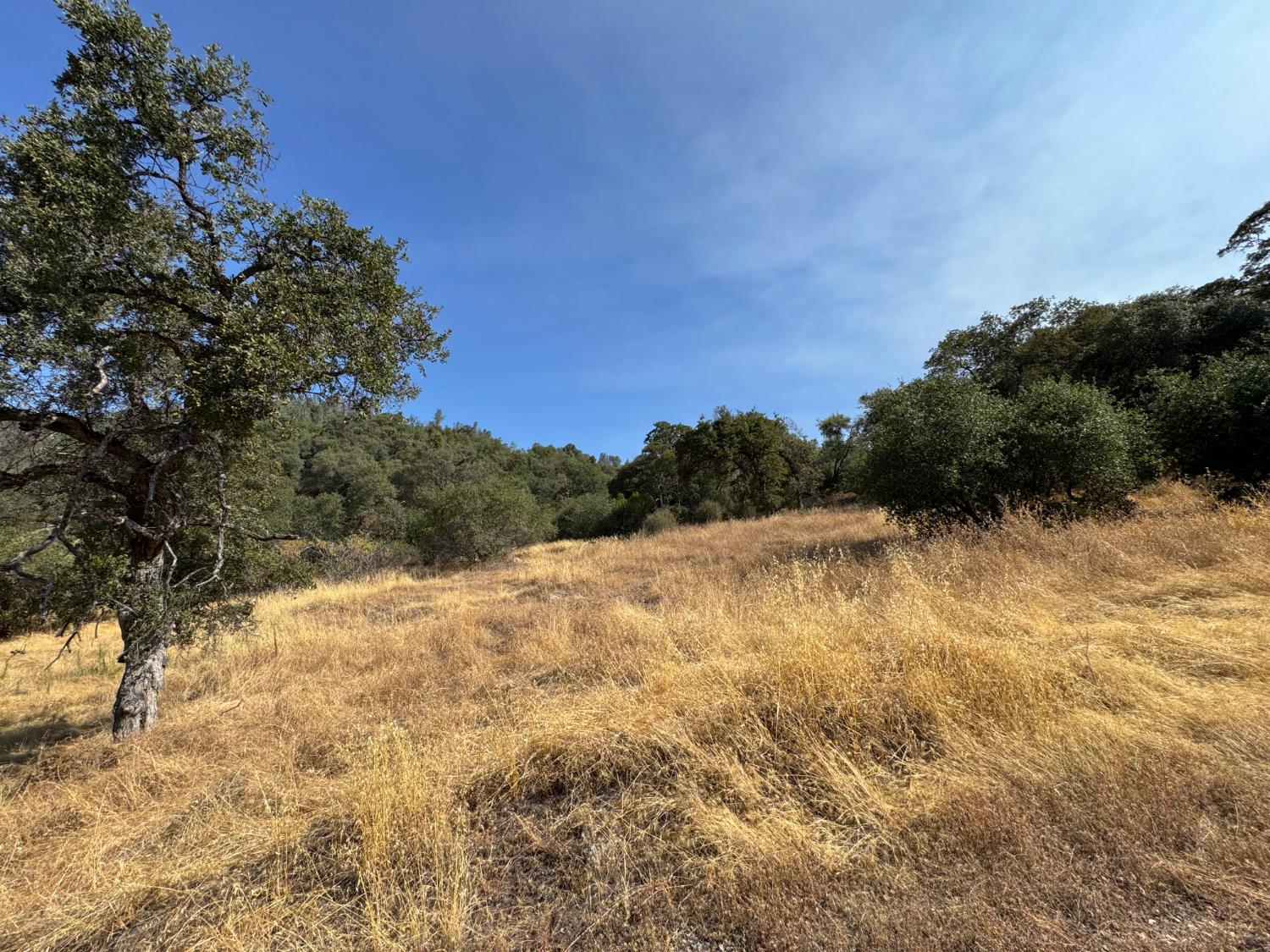 Land in North San Juan