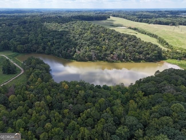 TRACT-9 - 0 Sanford Dr, Home with 0 bedrooms, 0 bathrooms and null parking in Nicholson GA | Image 10