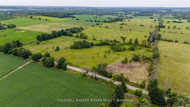 3185 Concession Rd 5, Home with 0 bedrooms, 0 bathrooms and null parking in Loretto ON | Image 9