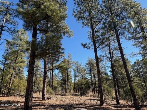 3071 W Black Oak Loop, Show Low, AZ, 85901-7582 | Card Image