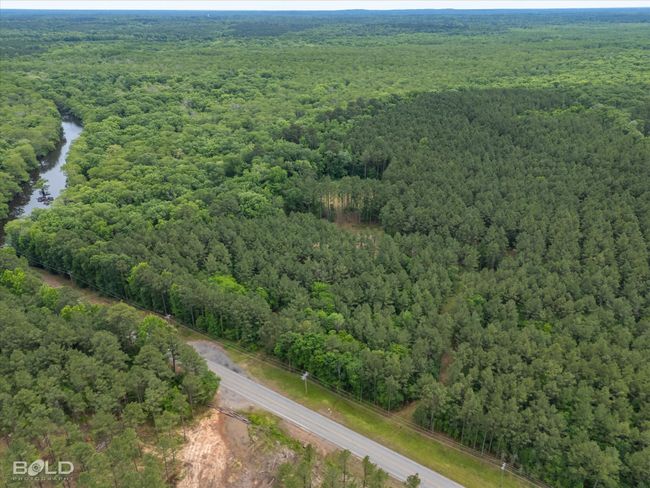 0 Highway 157, Home with 0 bedrooms, 0 bathrooms and null parking in Benton LA | Image 12