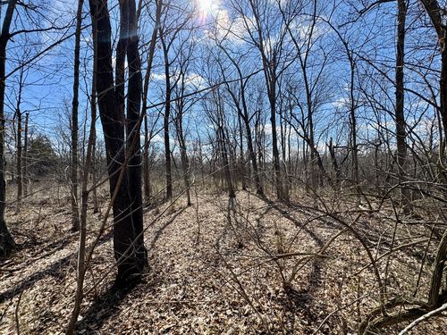 0 1725 East St, Tiskilwa, IL, 61368 | Card Image