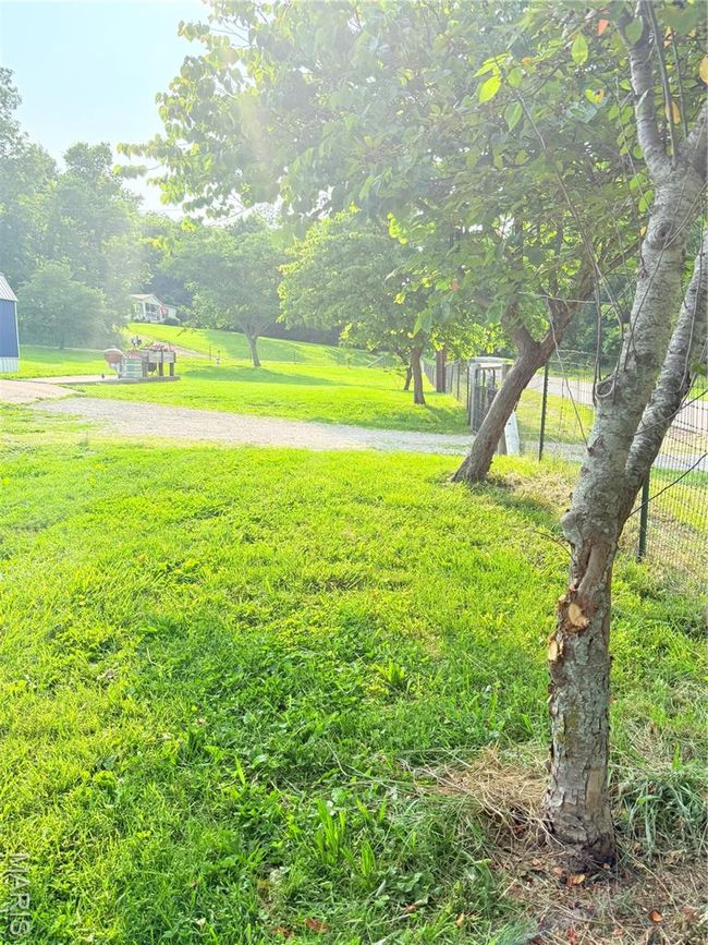 View of yard | Image 57