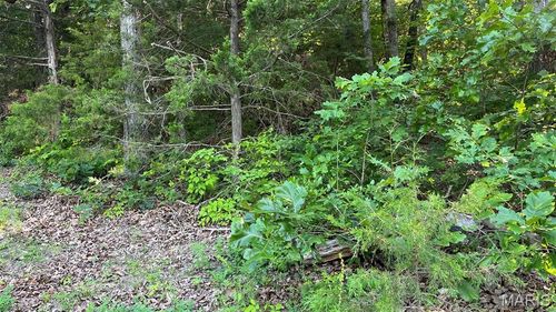 Lot 824 Woodson Dr, Owensville, MO, 65066 | Card Image