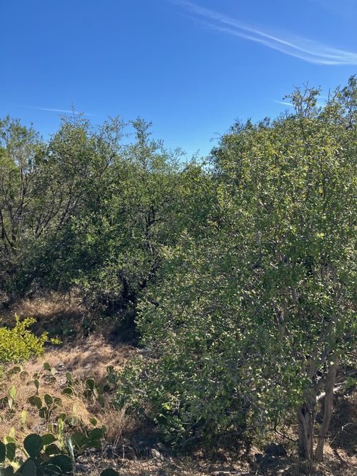 700 Pinto, Horseshoe Bay, TX, 78657 | Card Image