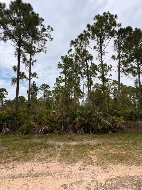 Land in PUNTA GORDA 4
