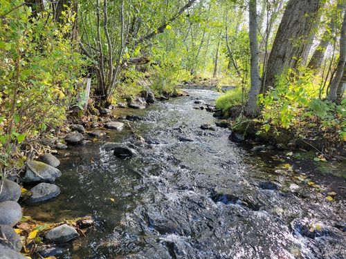 Lot 2 Hyalite Canyon Rd, Bozeman, MT, 59715 | Card Image