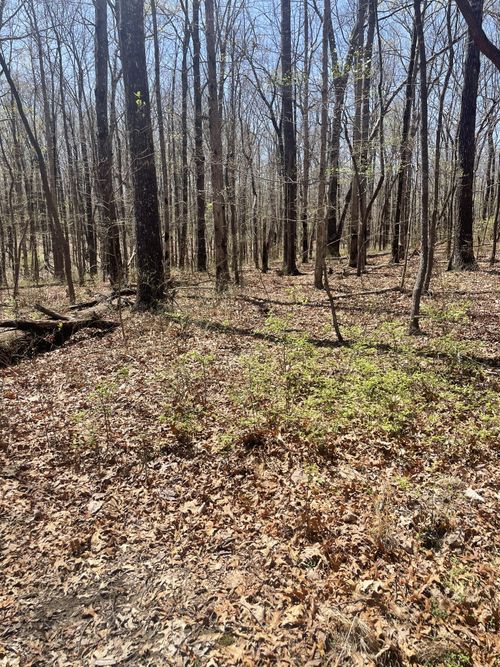 0 Quintard Rd, Sewanee, TN, 37375 | Card Image