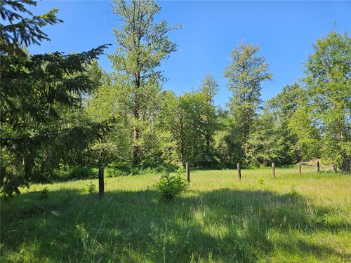 0 Park Junction Rd, Elbe, WA, 98330 | Card Image