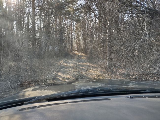 15056 Duffield Rd, House other with 3 bedrooms, 2 bathrooms and null parking in Byron MI | Image 17