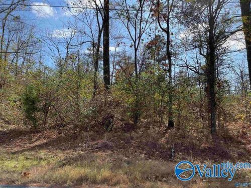 Lot 3 County Road 166, Sand Rock, AL, 35983 | Card Image