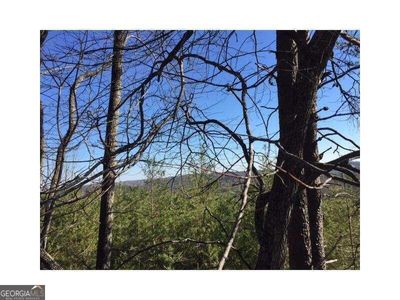 LOT #26 Placer Mining Road, Home with 0 bedrooms, 0 bathrooms and null parking in Dahlonega GA | Image 3