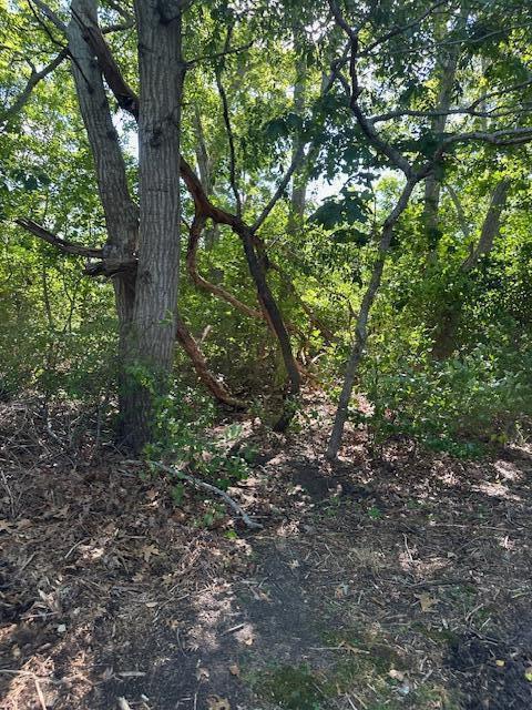 Land in West Yarmouth 2
