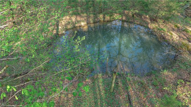 2nd pond is spring fed | Image 24