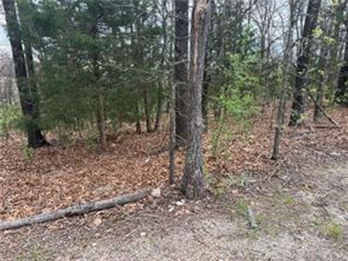 Lot 10 Entry Rd, Ridgedale, MO, 65739 | Card Image